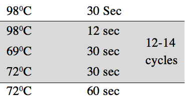 PCR.program.png